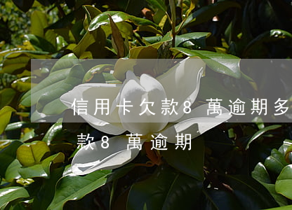 信用卡欠款8萬逾期多久會被起訴（信用卡欠款8萬逾期）