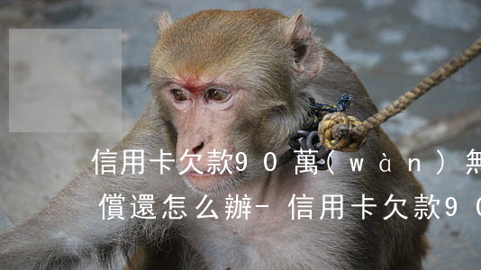 信用卡欠款90萬(wàn)無(wú)力償還怎么辦-信用卡欠款90萬(wàn)無(wú)力償還怎么辦呢