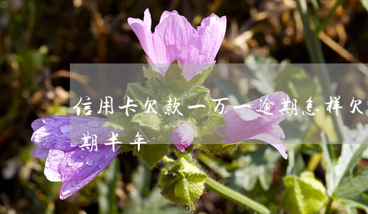信用卡欠款一万一逾期怎样(欠信用卡1万逾期半年)