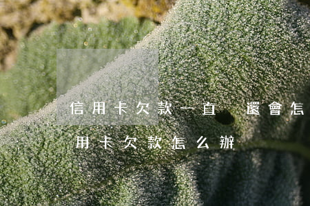 信用卡欠款一直沒還會怎么辦(實在還不上信用卡欠款怎么辦)