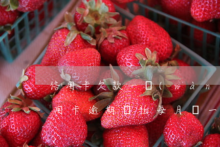 信用卡欠款一萬(wàn)二逾期一年(欠信用卡逾期別怕每月還一千)