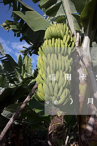 信用卡欠款一萬(wàn)二逾期九個(gè)月(我欠2000信用卡,已經(jīng)逾期3個(gè)月了)