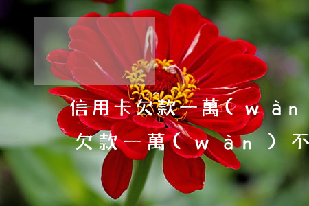 信用卡欠款一萬(wàn)以下不還(信用卡欠款一萬(wàn)不還會(huì)怎么樣)