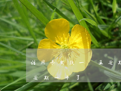 信用卡欠款一萬五逾期一年(欠信用卡一萬多逾期一年了)