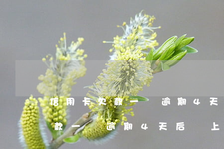 信用卡欠款一萬逾期4天后還上-信用卡欠款一萬逾期4天后還上會怎樣