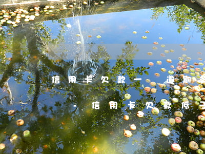 信用卡欠款一萬逾期多久會(huì)被起訴-信用卡欠款低于5萬不予立案