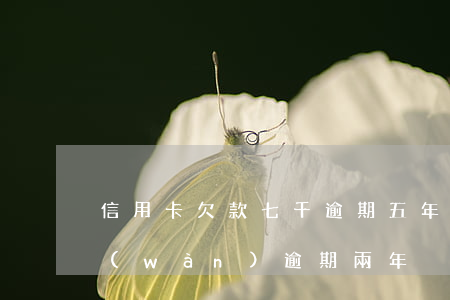 信用卡欠款七千逾期五年了(我信用卡欠8萬(wàn)逾期兩年)