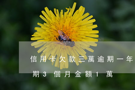 信用卡欠款三萬逾期一年半(欠銀行信用卡逾期3個月 金額1萬)