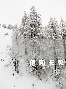 信用卡欠款不到5萬