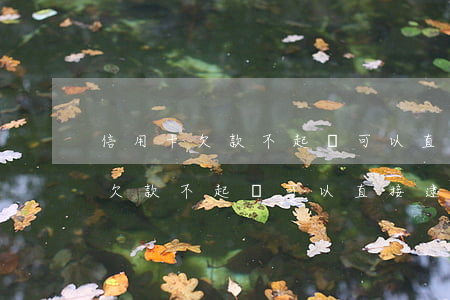 信用卡欠款不起訴可以直接逮捕嗎-信用卡欠款不起訴可以直接逮捕嗎知乎