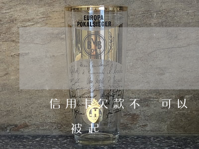 信用卡欠款不還可以舉報嗎(欠信用卡還不上會被起訴嗎)