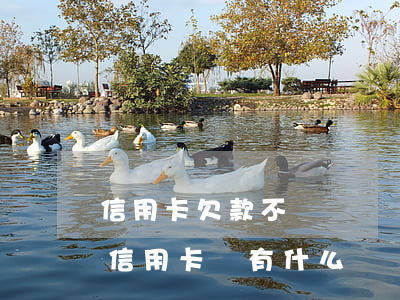信用卡欠款不還時間長了會(如果長時間不還信用卡會有什么問題)