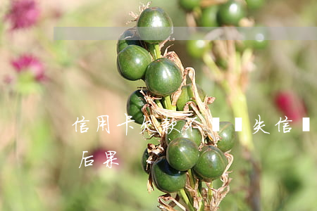 信用卡欠款不還會失信嗎(信用卡欠債不還的后果)