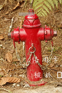 信用卡欠款不還會被通輯嗎(欠信用卡不還會被抓嗎)