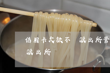 信用卡欠款不還派出所管嗎(欠信用卡被叫去派出所)