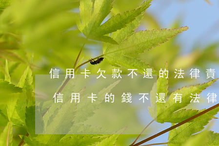信用卡欠款不還的法律責(zé)任(欠別人信用卡的錢不還有法律責(zé)任嗎)