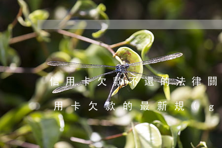 信用卡欠款不還的法律(關(guān)于信用卡欠款的最新規(guī)定)