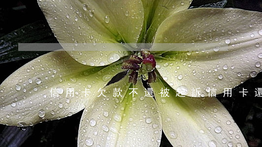 信用卡欠款不還被起訴(信用卡還不起被起訴)