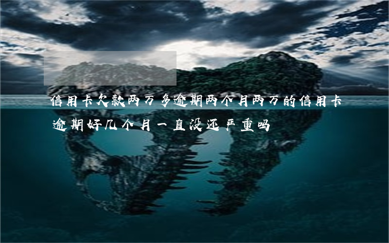 信用卡欠款两万多逾期两个月(两万的信用卡逾期好几个月一直没还严重吗)