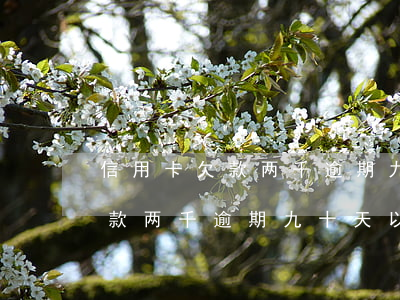 信用卡欠款两千逾期九十天以上-信用卡欠款两千逾期九十天以上会怎么样