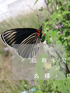 信用卡欠款二十萬三年不還會(huì)怎么樣-信用卡欠款二十萬三年不還會(huì)怎么樣嗎