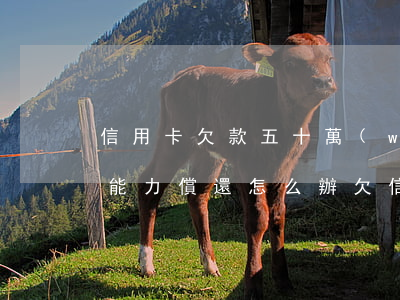 信用卡欠款五十萬(wàn)沒(méi)能力償還怎么辦(欠信用卡50萬(wàn)無(wú)力償還怎么辦)