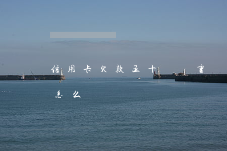 信用卡欠款五十萬嚴重嗎(信用卡欠四十多萬怎么辦)