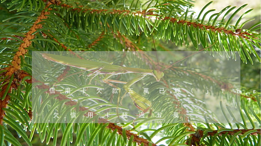 信用卡欠款五萬已經(jīng)逾期五年 欠信用卡超過五萬