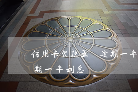 信用卡欠款五萬逾期一年(信用卡欠款五萬逾期一年利息)