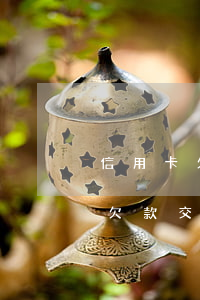 信用卡欠款交給第三方了會起訴嗎-信用卡欠款交給第三方了會起訴嗎怎么辦