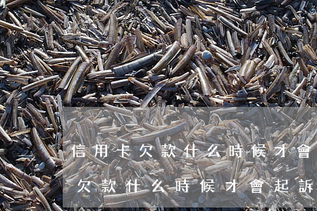 信用卡欠款什么時候才會起訴妻子-信用卡欠款什么時候才會起訴妻子呢