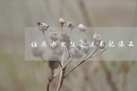 信用卡欠款会连累配偶工作吗