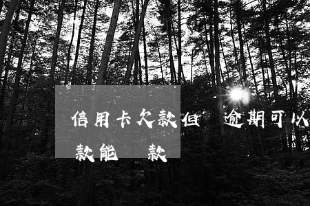 信用卡欠款但沒逾期可以車貸嗎(有信用卡欠款能貸款買車嗎)