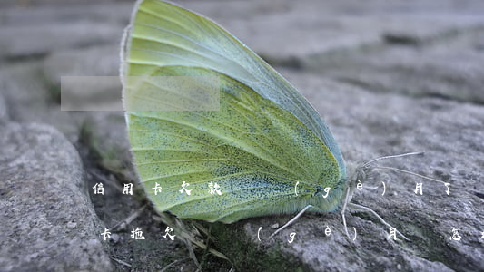 信用卡欠款兩個(gè)月了會怎么辦(信用卡拖欠兩個(gè)月會怎么處理)