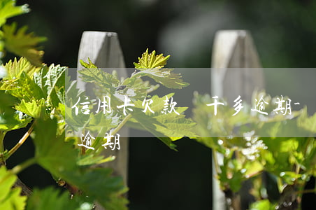 信用卡欠款兩千多逾期-信用卡欠款兩千多逾期