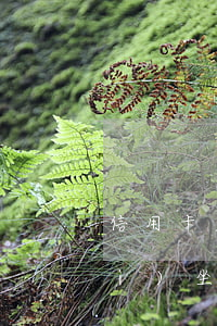 信用卡欠款兩萬(wàn)多逾期會(huì)坐牢嗎貼吧（信用卡欠款兩萬(wàn)多逾期會(huì)坐牢嗎）
