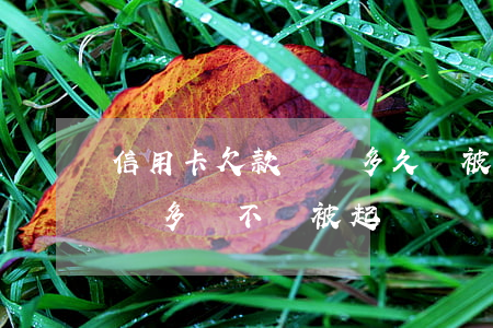 信用卡欠款兩萬多久會被起訴(信用卡欠款兩萬多會不會被起訴)
