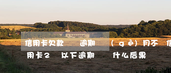 信用卡欠款兩萬逾期兩個(gè)月不還(信用卡2萬以下逾期沒還什么后果)