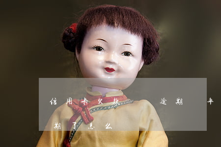 信用卡欠款兩萬逾期兩年(信用卡欠兩千多逾期了怎么辦)