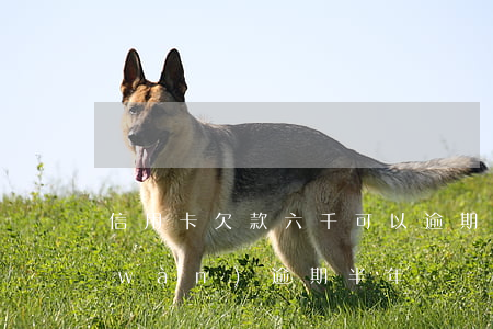 信用卡欠款六千可以逾期多久(信用卡6萬(wàn)逾期半年)