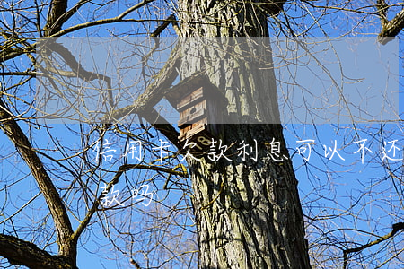 信用卡欠款利息可以不还吗(欠信用卡还能贷款吗?)
