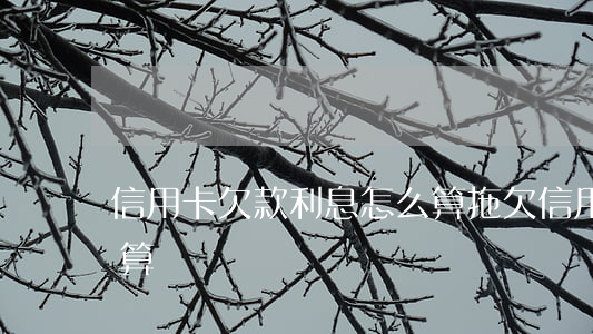信用卡欠款利息怎么算(拖欠信用卡利息怎么算)