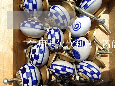 信用卡 欠款利息（閑置信用卡利息）