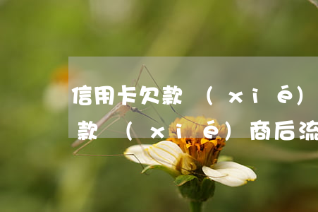 信用卡欠款協(xié)商后流程(信用卡欠款協(xié)商后流程圖)