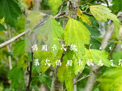 信用卡欠款協(xié)商無結(jié)果(欠信用卡很久了跟銀行協(xié)商,客服讓我還一部分就可以了)