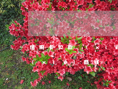 信用卡欠款協(xié)商視頻(欠信用卡協(xié)商找誰)