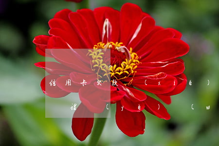 信用卡欠款協(xié)商還款中能去銀行辦理業(yè)務(wù)嗎-協(xié)商還款的信用卡還可以使用嗎