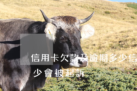 信用卡欠款及逾期多少(信用卡欠款及逾期多少會被起訴)