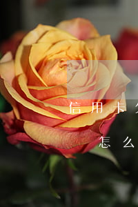 信用卡欠款可以不還嗎?(銀行信用卡欠錢不還會怎么樣)
