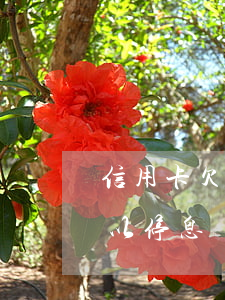 信用卡欠款可以停息掛賬嗎-信用卡欠款可以停息掛賬嗎房貸沒還完可以過戶給孩子嗎
